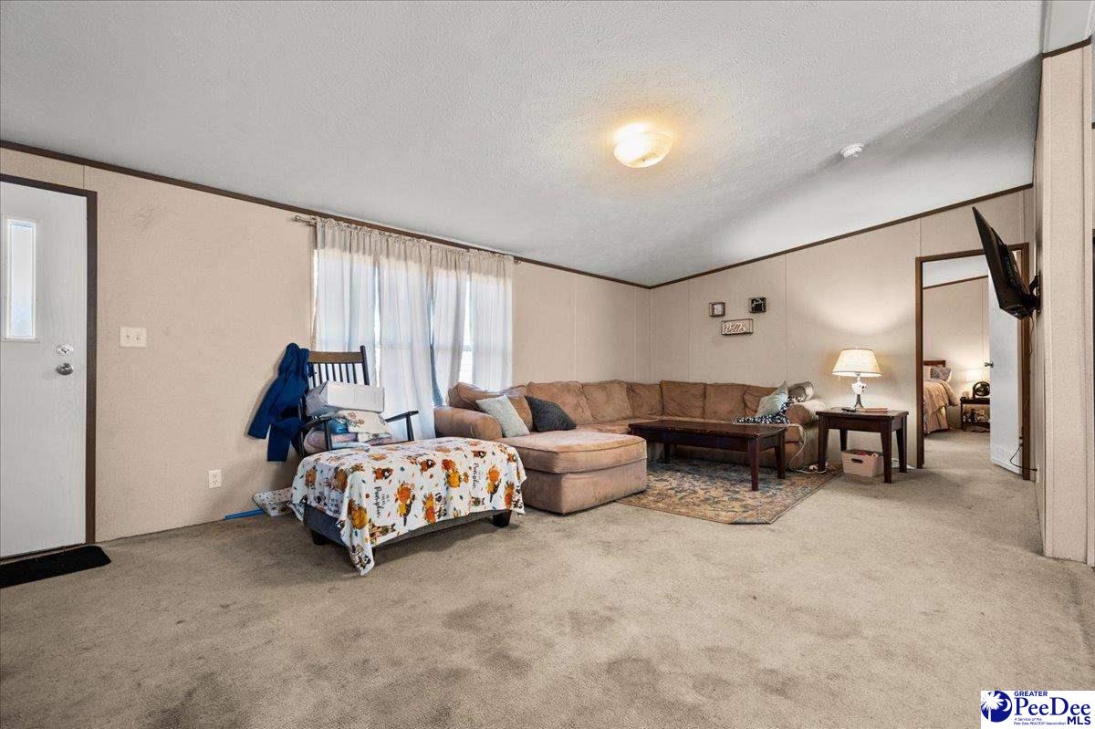 102 Dolly Moore Lane