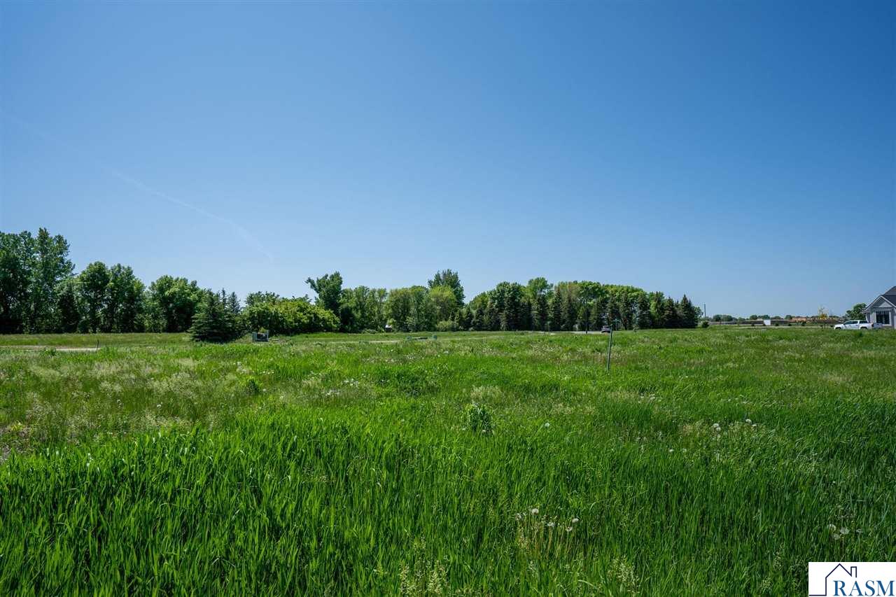 118 Pine Creek Road, Mankato, MN 56001 Listing Photo  14