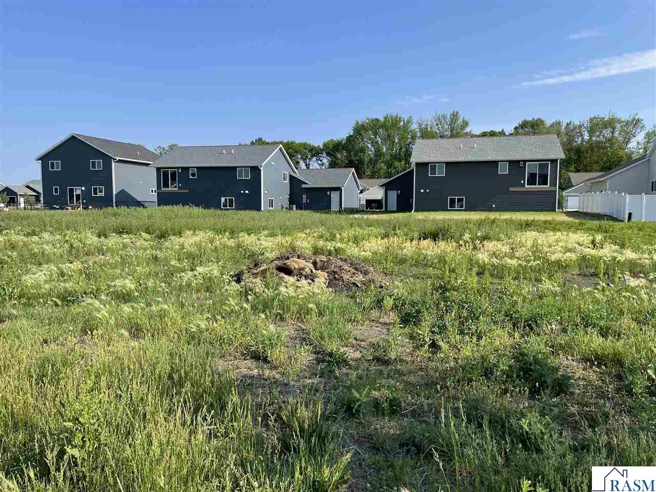 2009 Aster Lane, Mankato, MN 56001 Listing Photo  3