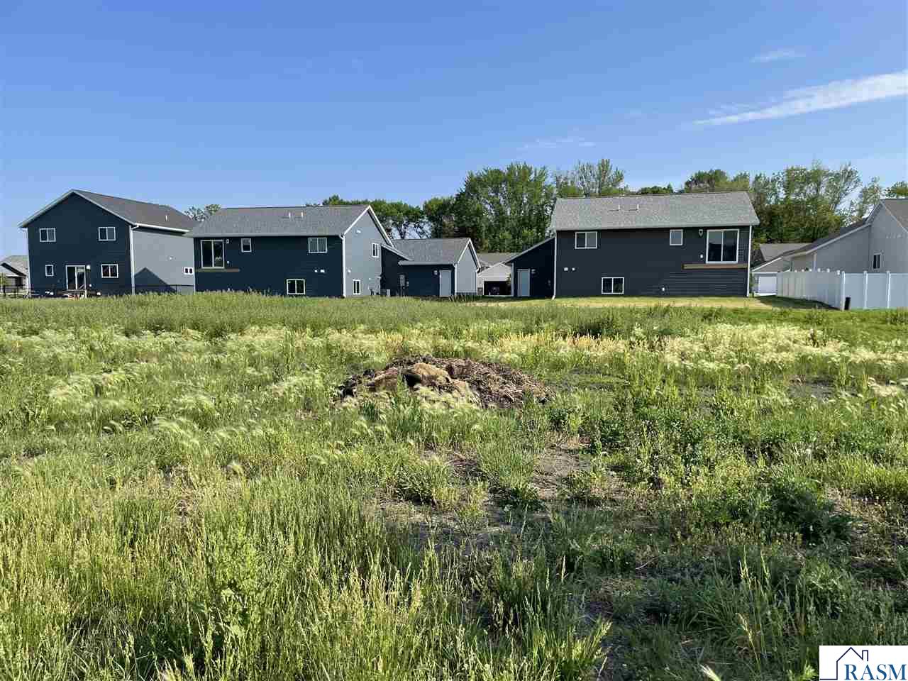 2009 Aster Lane, Mankato, MN 56001 Listing Photo  4