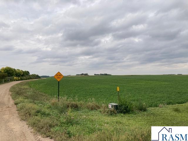 Lot 1 135th Street, Hanska, MN 56041 Listing Photo  1