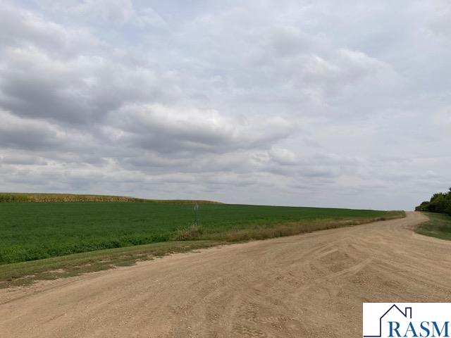 Lot 2 135th Street, Hanska, MN 56041 Listing Photo  7