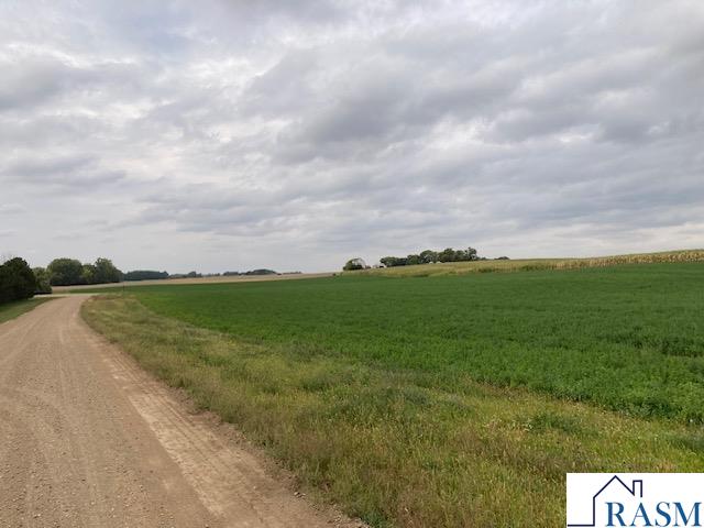 Lot 4 135th Street, Hanska, MN 56041 Listing Photo  4