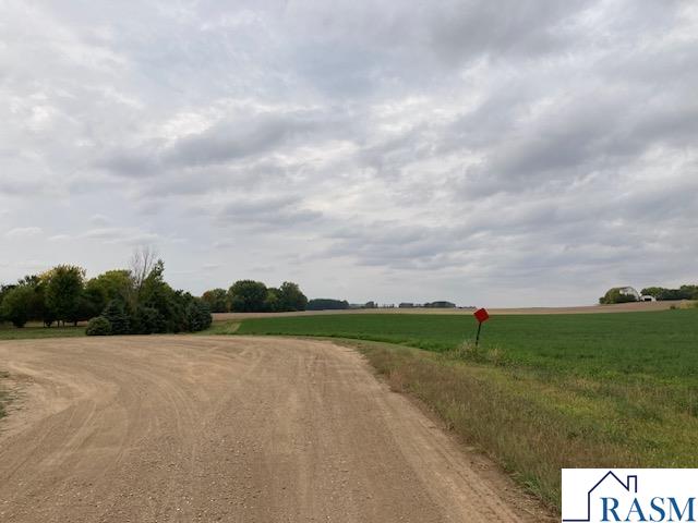 Lot 4 135th Street, Hanska, MN 56041 Listing Photo  5