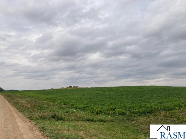 Lot 5 135th Street, Hanska, MN 56041 Listing Photo  3