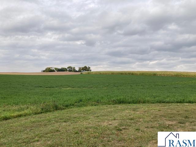 Lot 5 135th Street, Hanska, MN 56041 Listing Photo  6