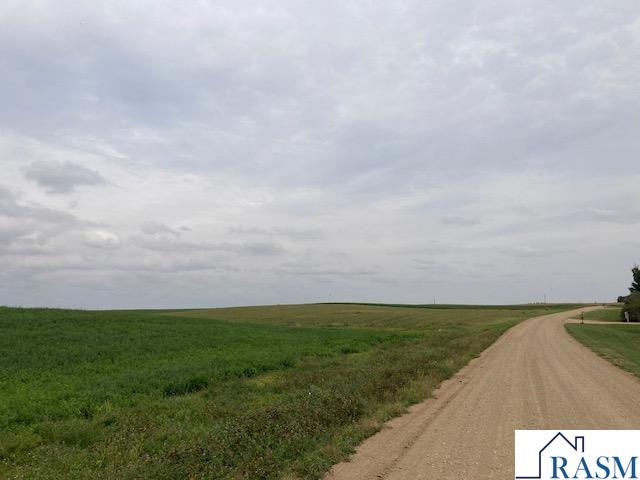 Lot 7 135th Street, Hanska, MN 56041 Listing Photo  8