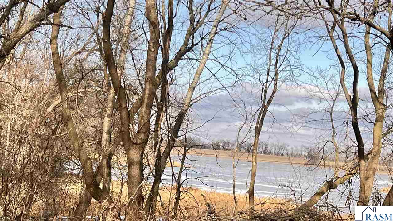 TBD 480th Lane, Madison Lake, MN 56063 450,000 Lots & Land Active