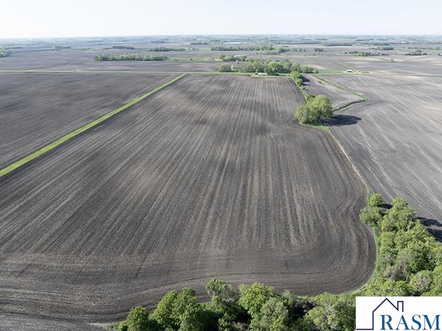 tbd 100th Street, Brownton, MN 55312 Listing Photo  5