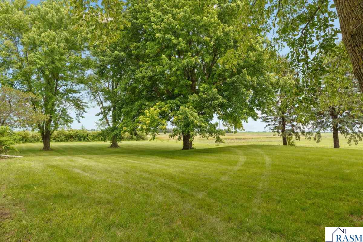 59597 185th Street, Mankato, MN 56001 Listing Photo  6