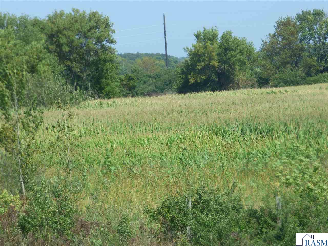  Listing Photo  5
