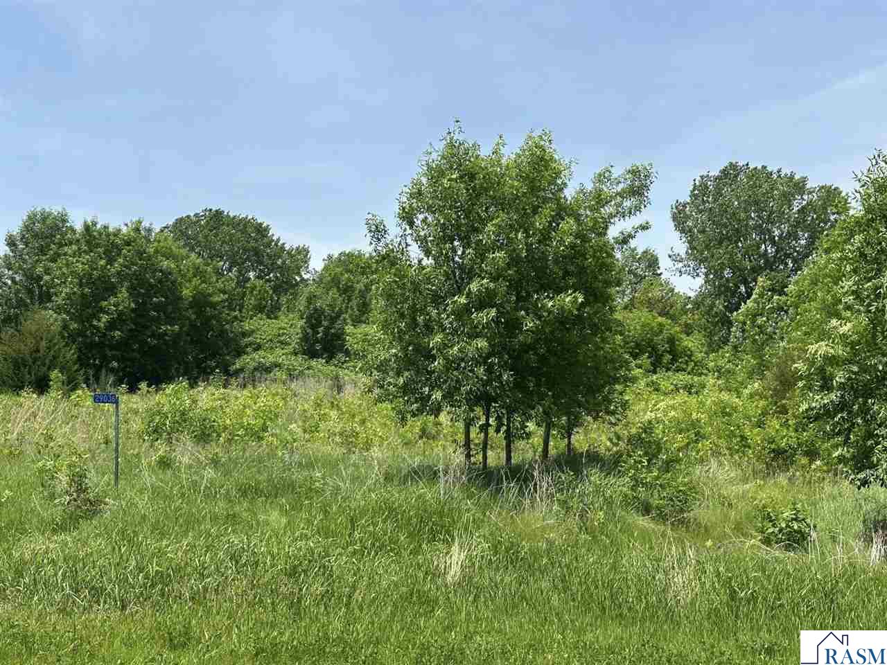 29036 Biehn Drive, Madison Lake, MN 56063 Listing Photo  1