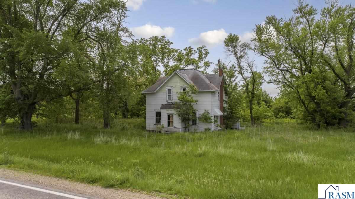 55997 132nd Street, Mapleton, MN 56065 Listing Photo  1