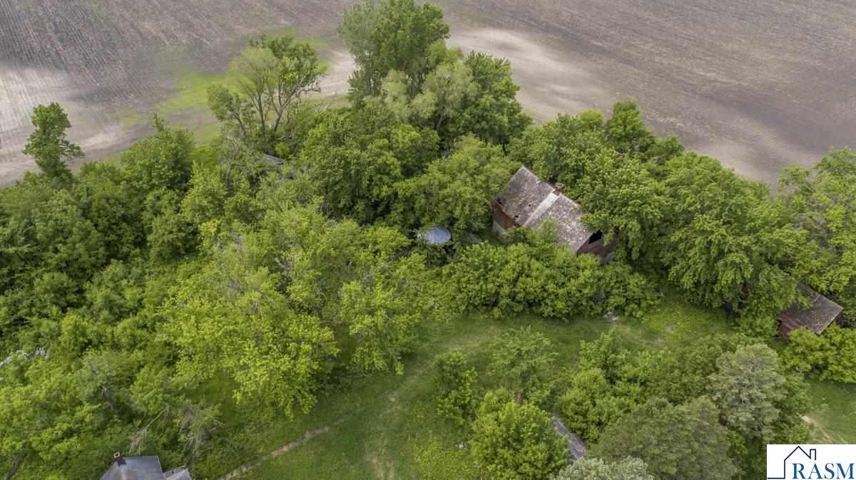 55997 132nd Street, Mapleton, MN 56065 Listing Photo  3