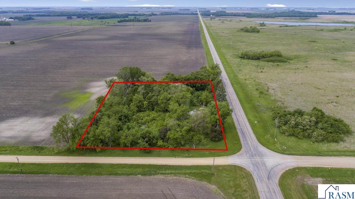 55997 132nd Street, Mapleton, MN 56065 Listing Photo  6