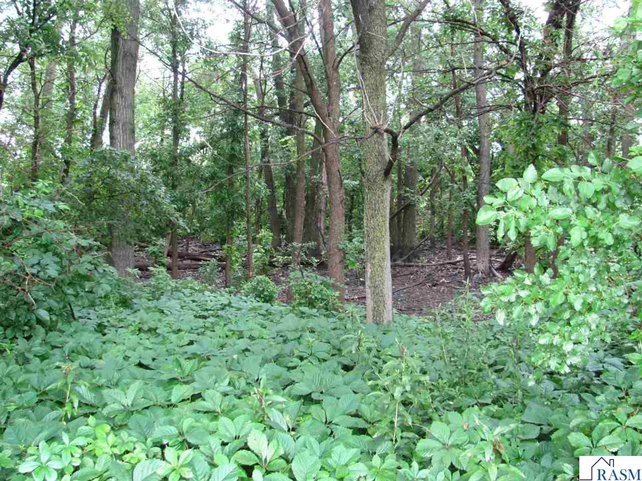 TBD S Third Street, Butterfield, MN 56120 Listing Photo  6