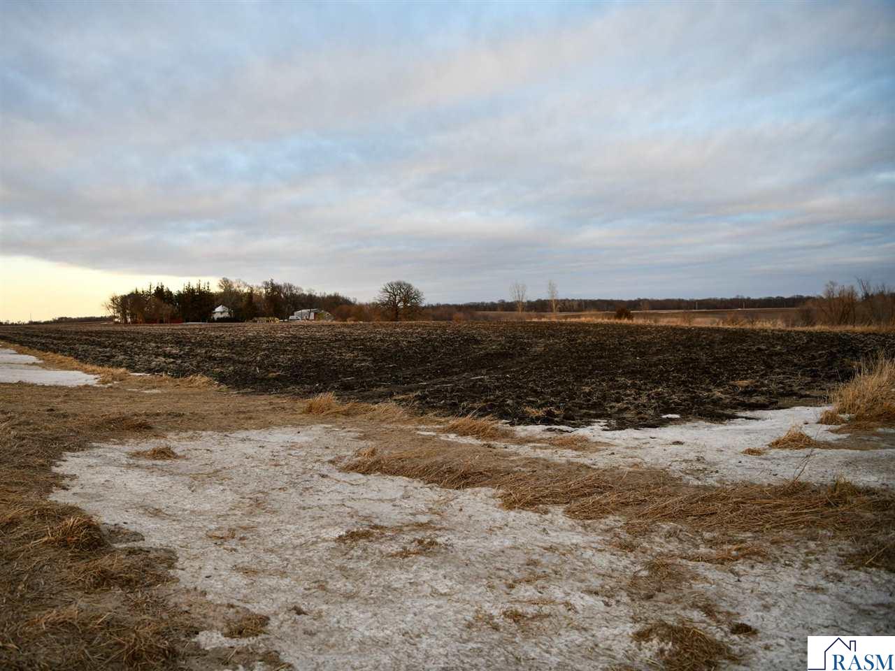 XXX 260th Avenue, Minnesota Lake, MN 56068 Listing Photo  3