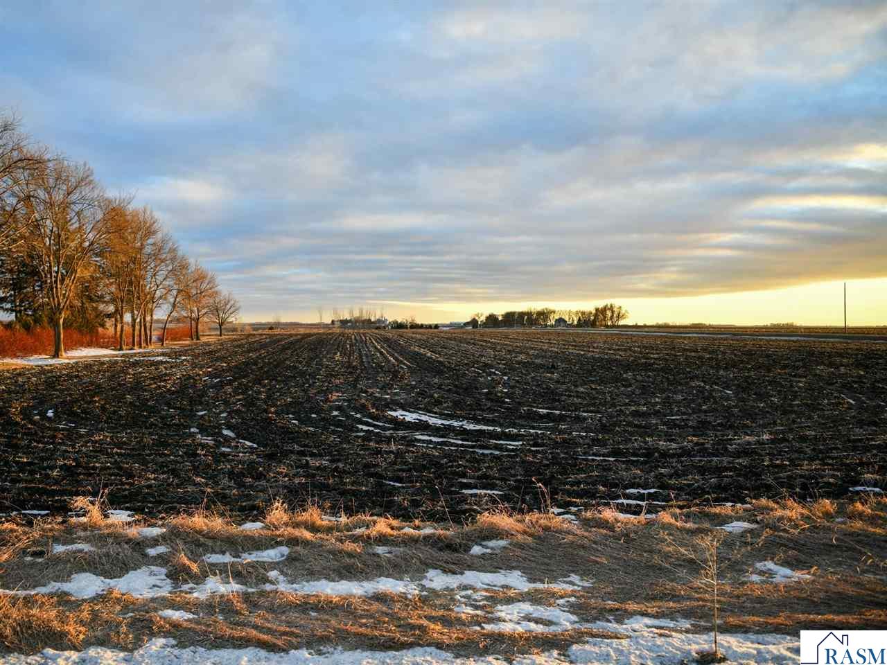 XXX 260th Avenue, Minnesota Lake, MN 56068 Listing Photo  5