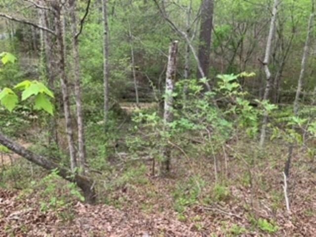 This vacant lot located on a dead end is perfect for building or recreational use.  Some timber with a creek running through it.