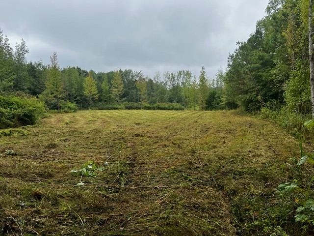 If you are looking for a place to build your dream home, this is it.  On 6 +/- acres, you will have all the land you need.  Some of the land is cleared but it still has plenty of trees on part of it. City water, natural gas, and electricity are available.  Owner has a current survey (included in documents).  Call today to schedule your showing on this rural property.