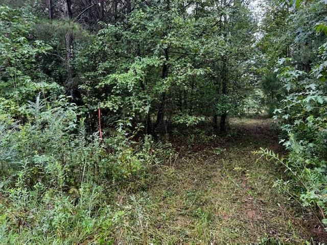 314 County Hwy 123