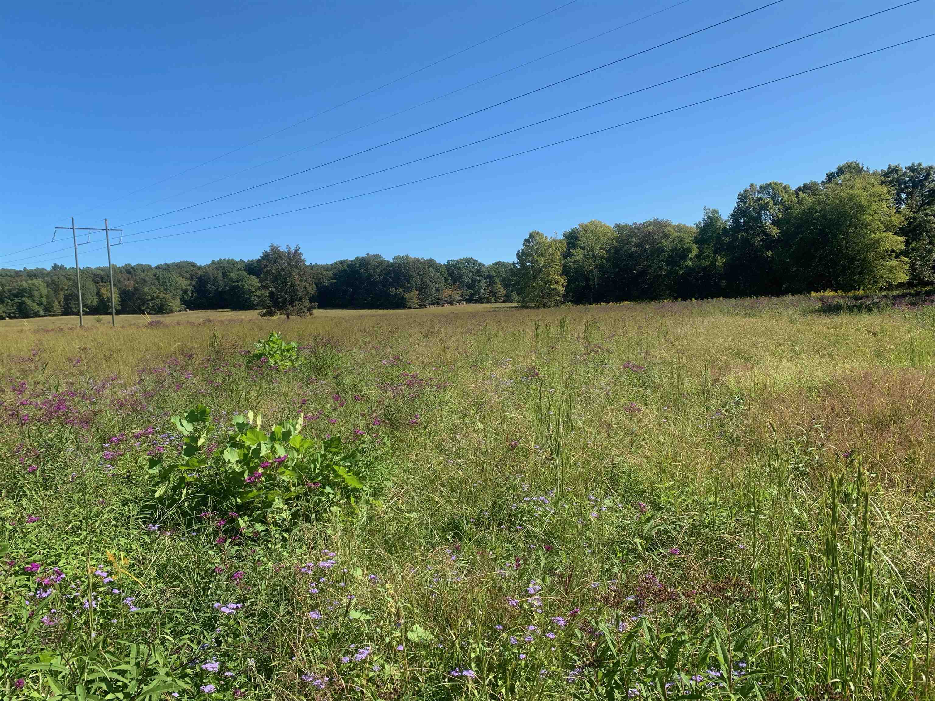 Beautiful land with approximately 74 acres perfect for building your dream home, agriculture or farming.  Enjoy the abundant wildlife, deer and turkey's as well as a creek along with some hardwoods and pasture land.  Call today! Seven acres lies on the West side of Hwy 75.