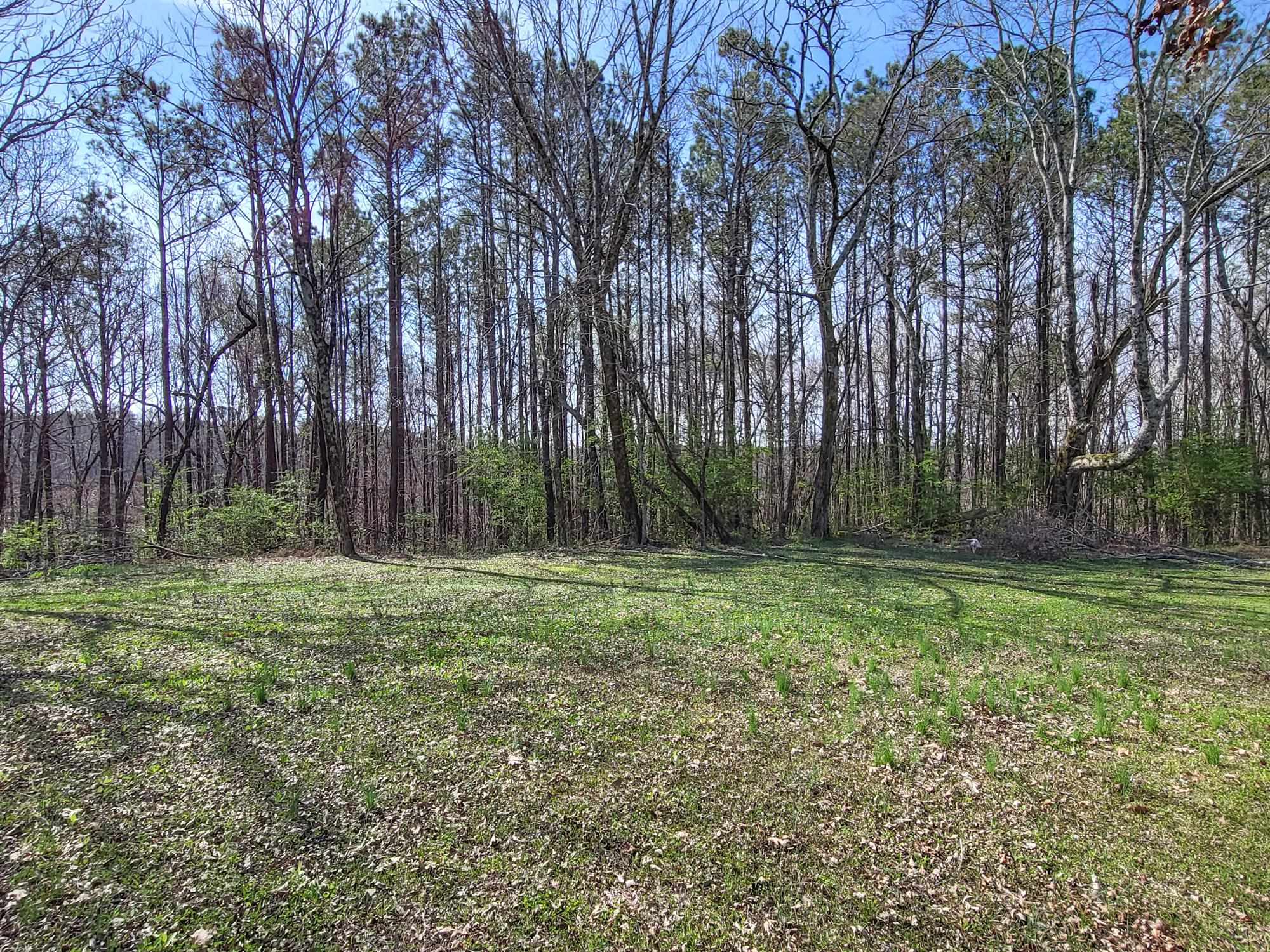125 Longleaf Dr