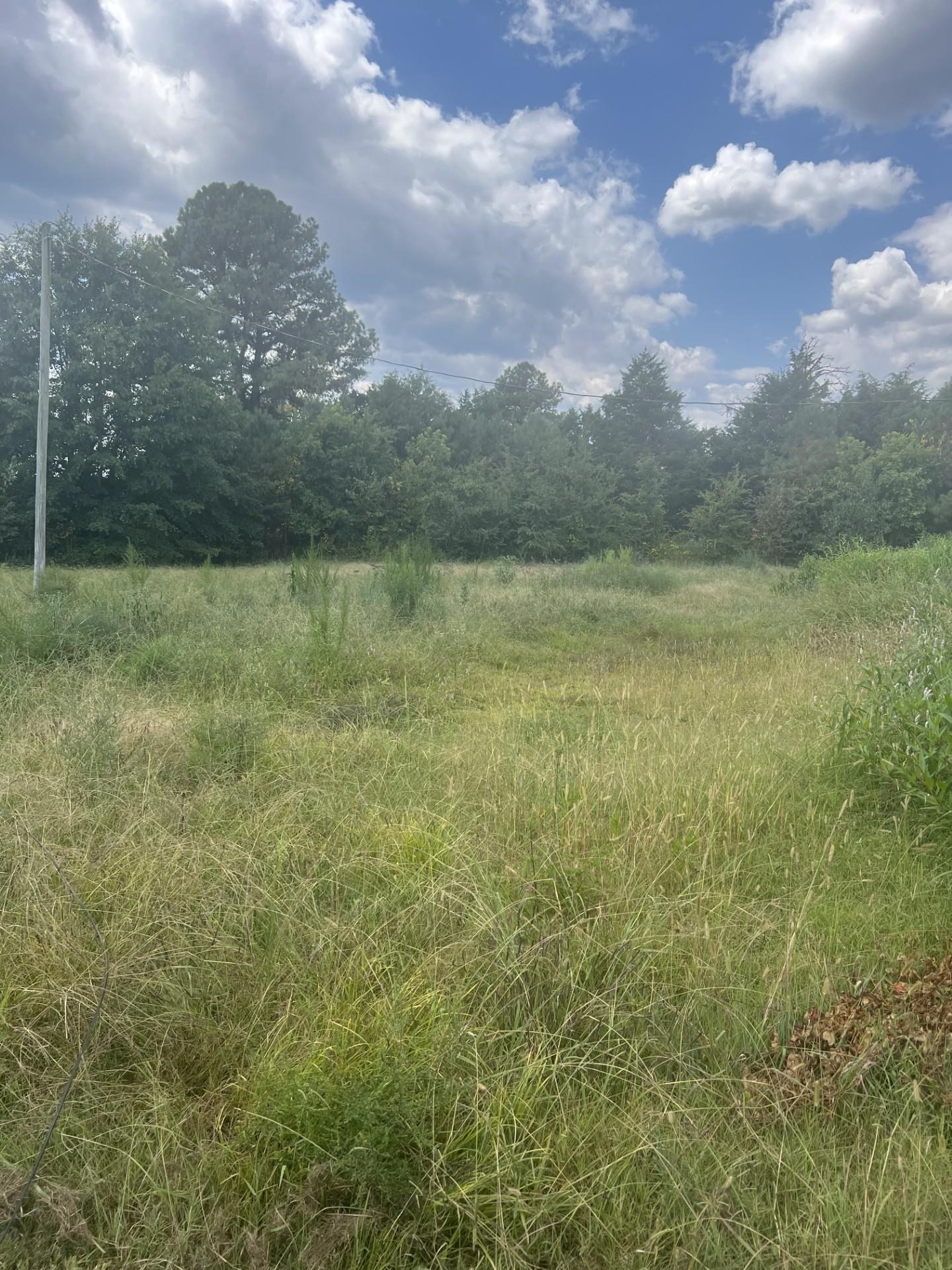 277 Co Rd 44