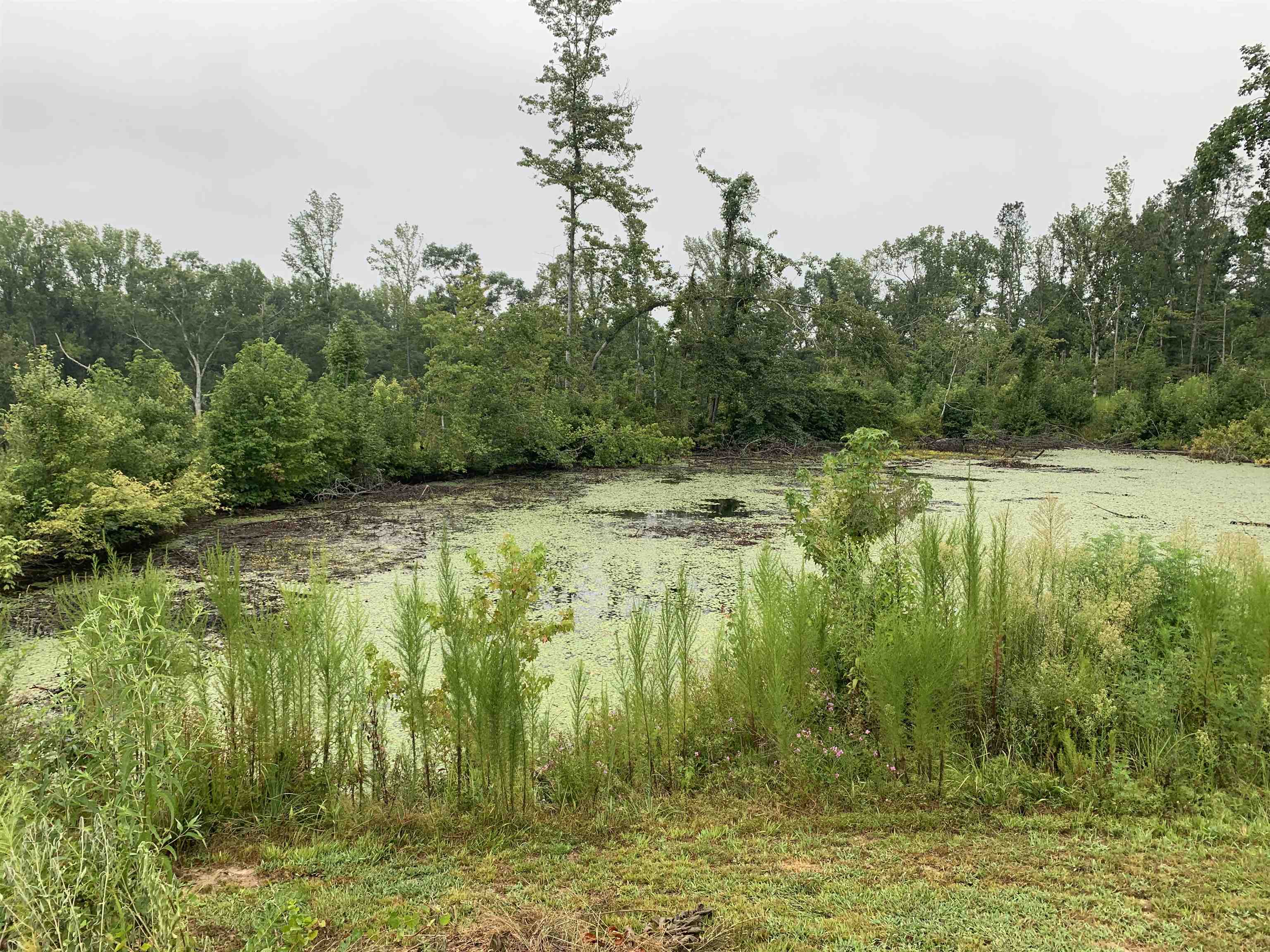 3085 Hwy 93