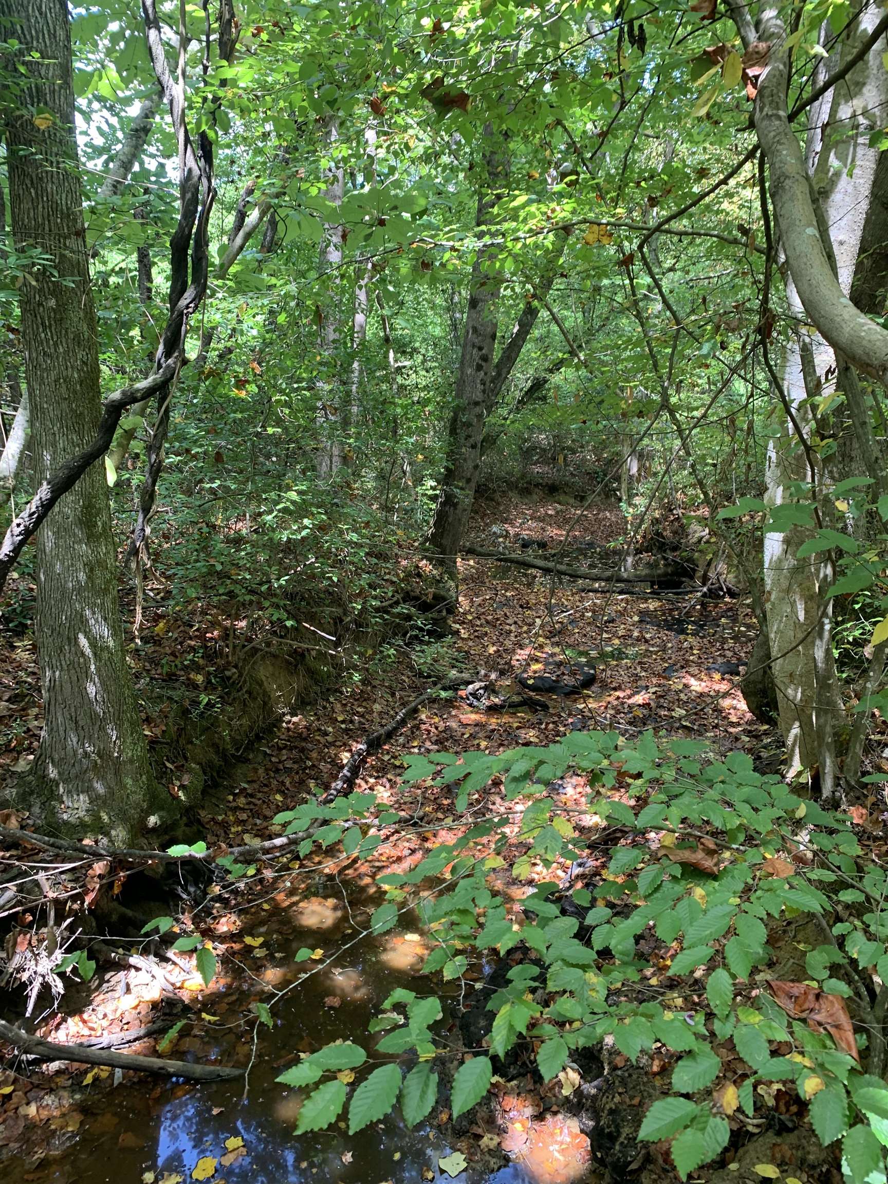 0 Co Rd 51