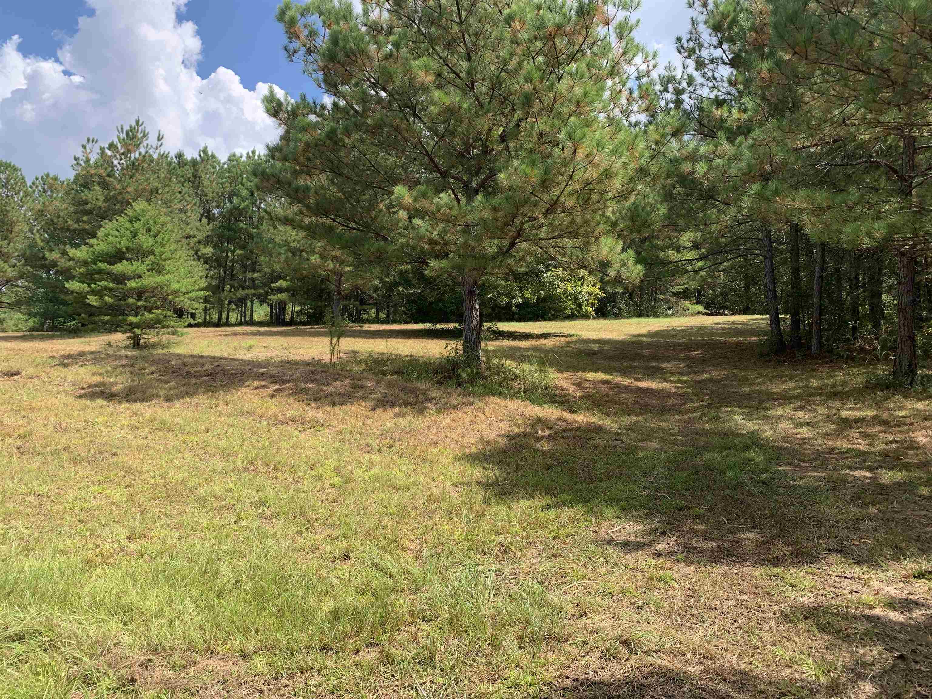 0 Co Rd 51