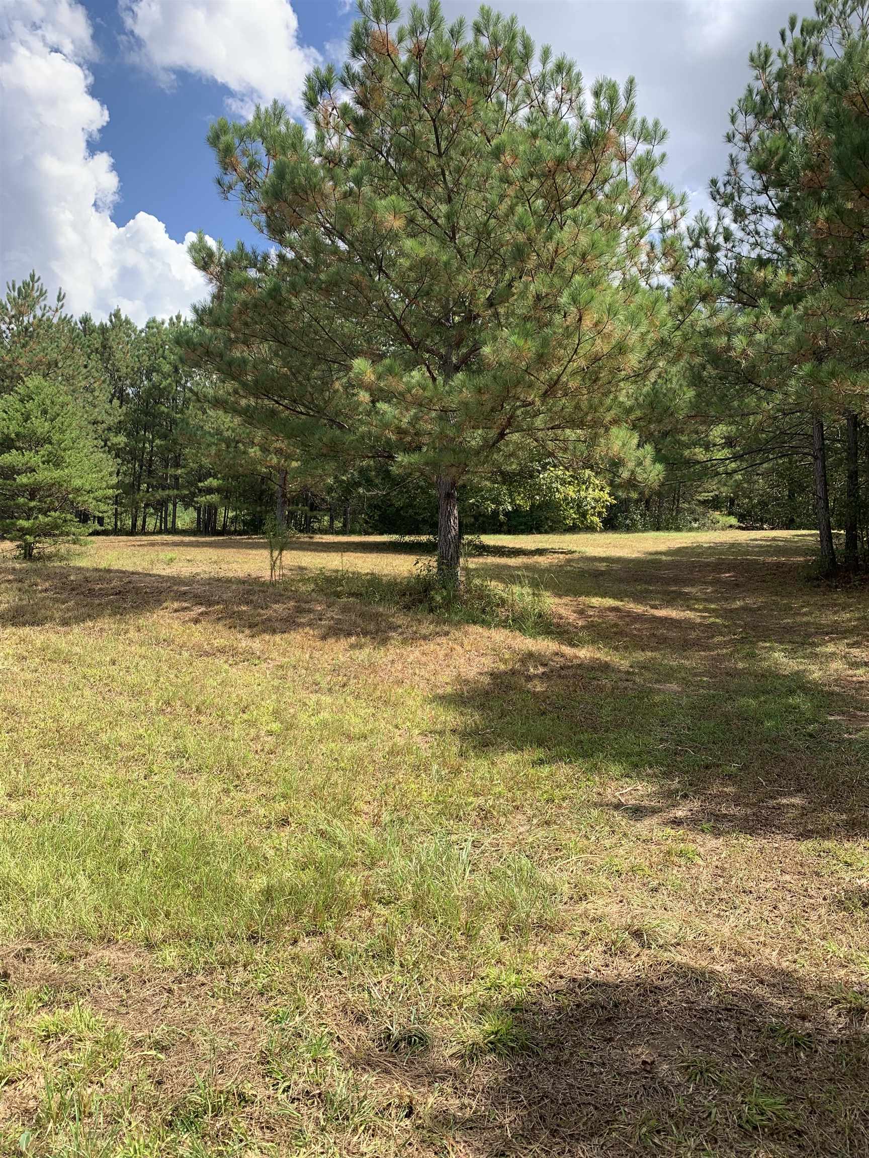 0 Co Rd 51