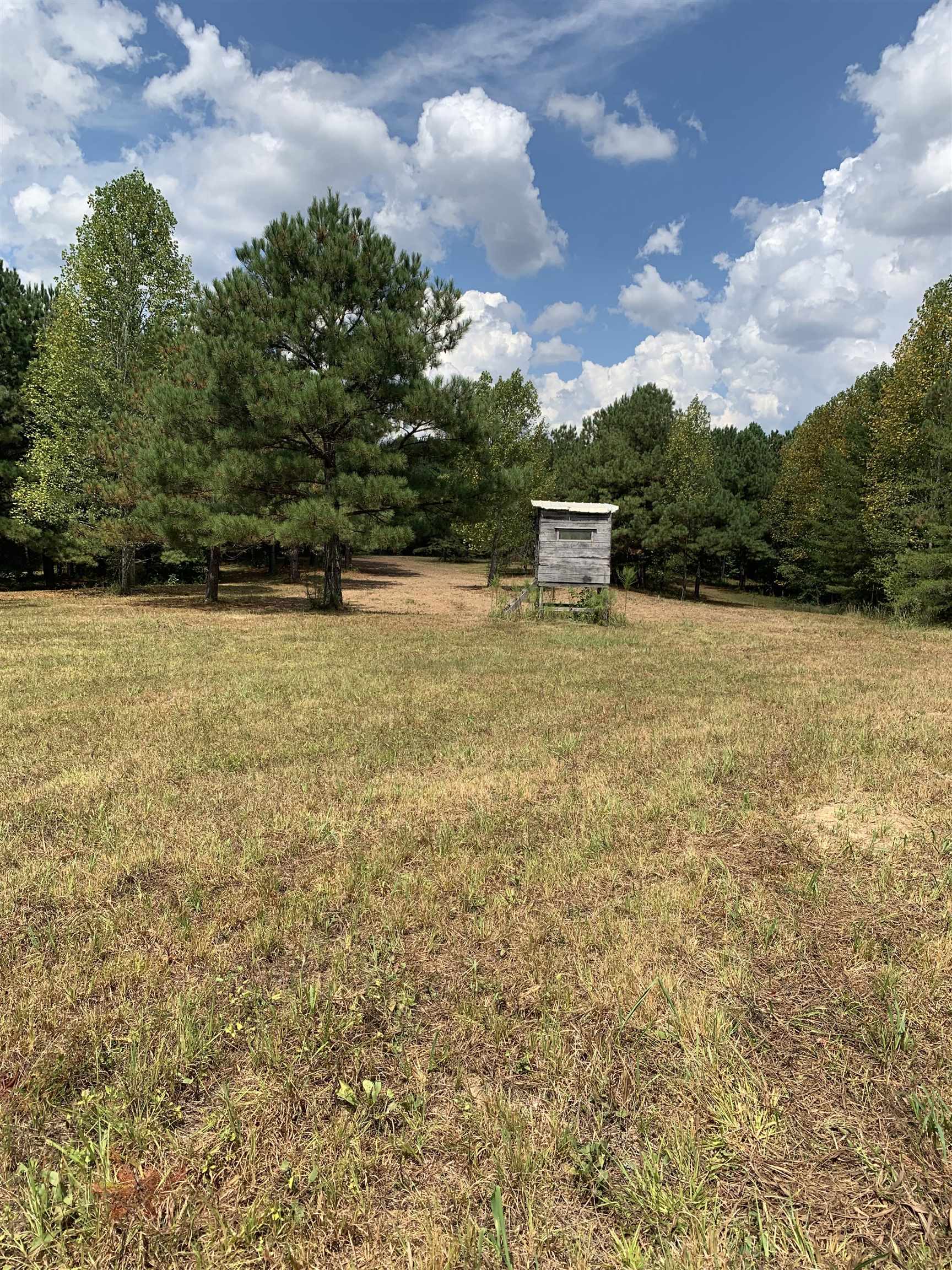 0 Co Rd 51