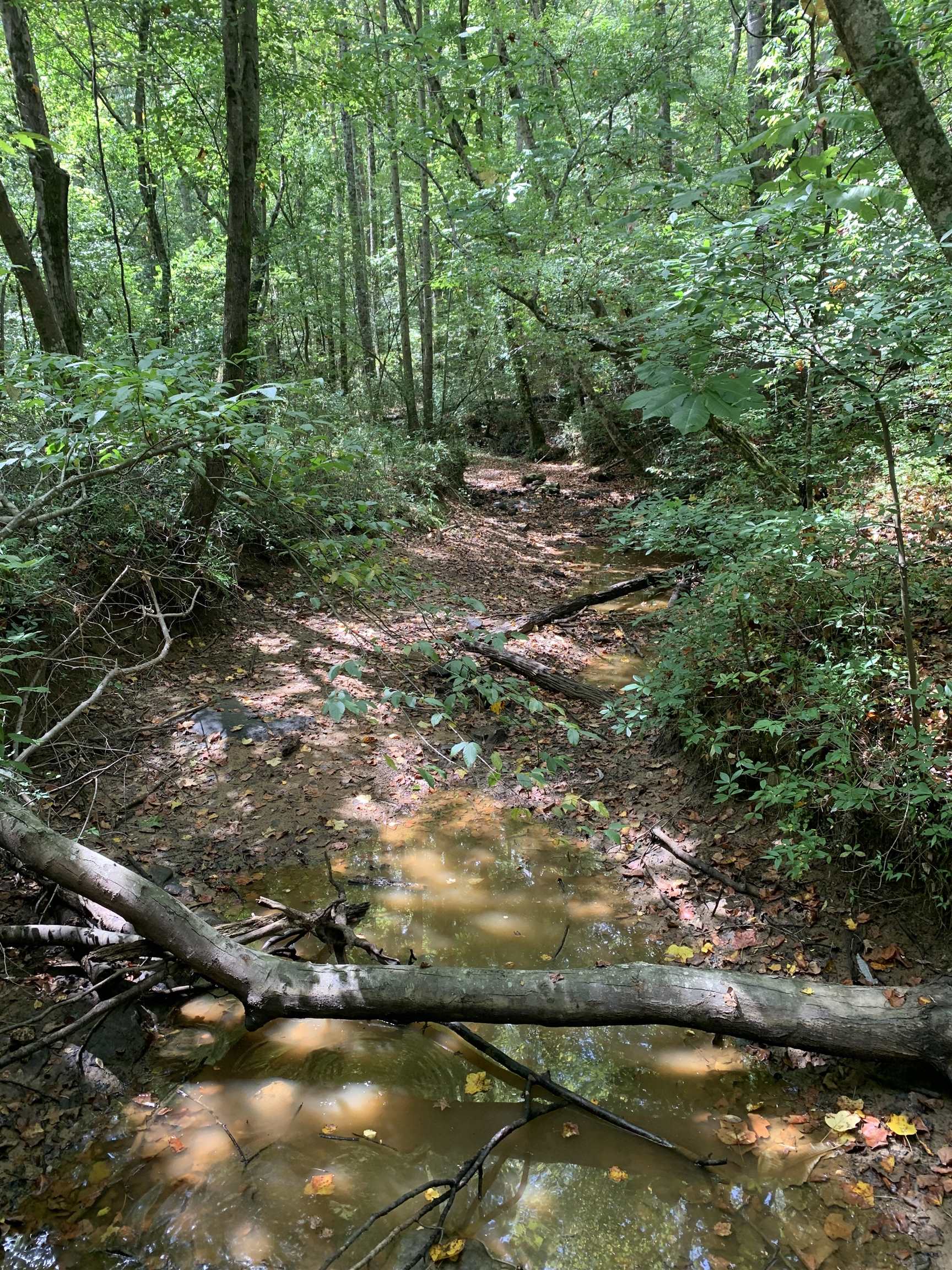0 Co Rd 51