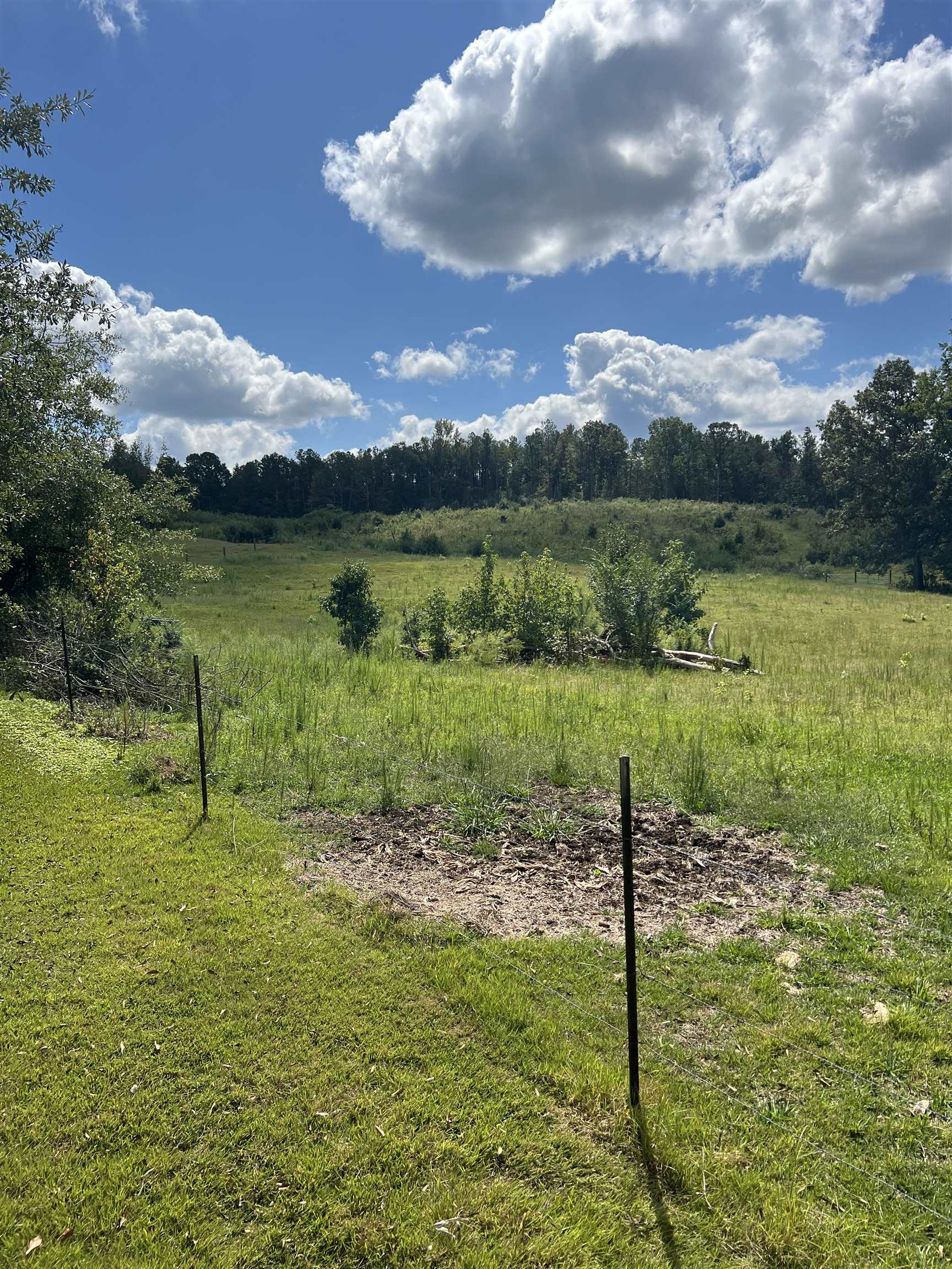 486 Posey Rd