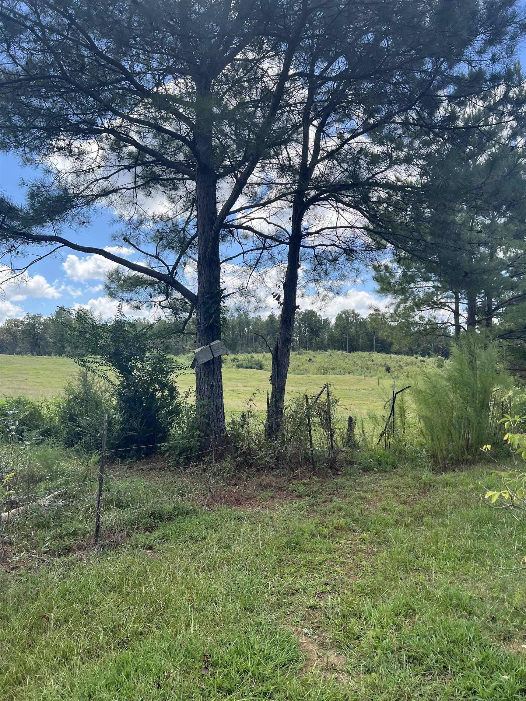 486 Posey Rd