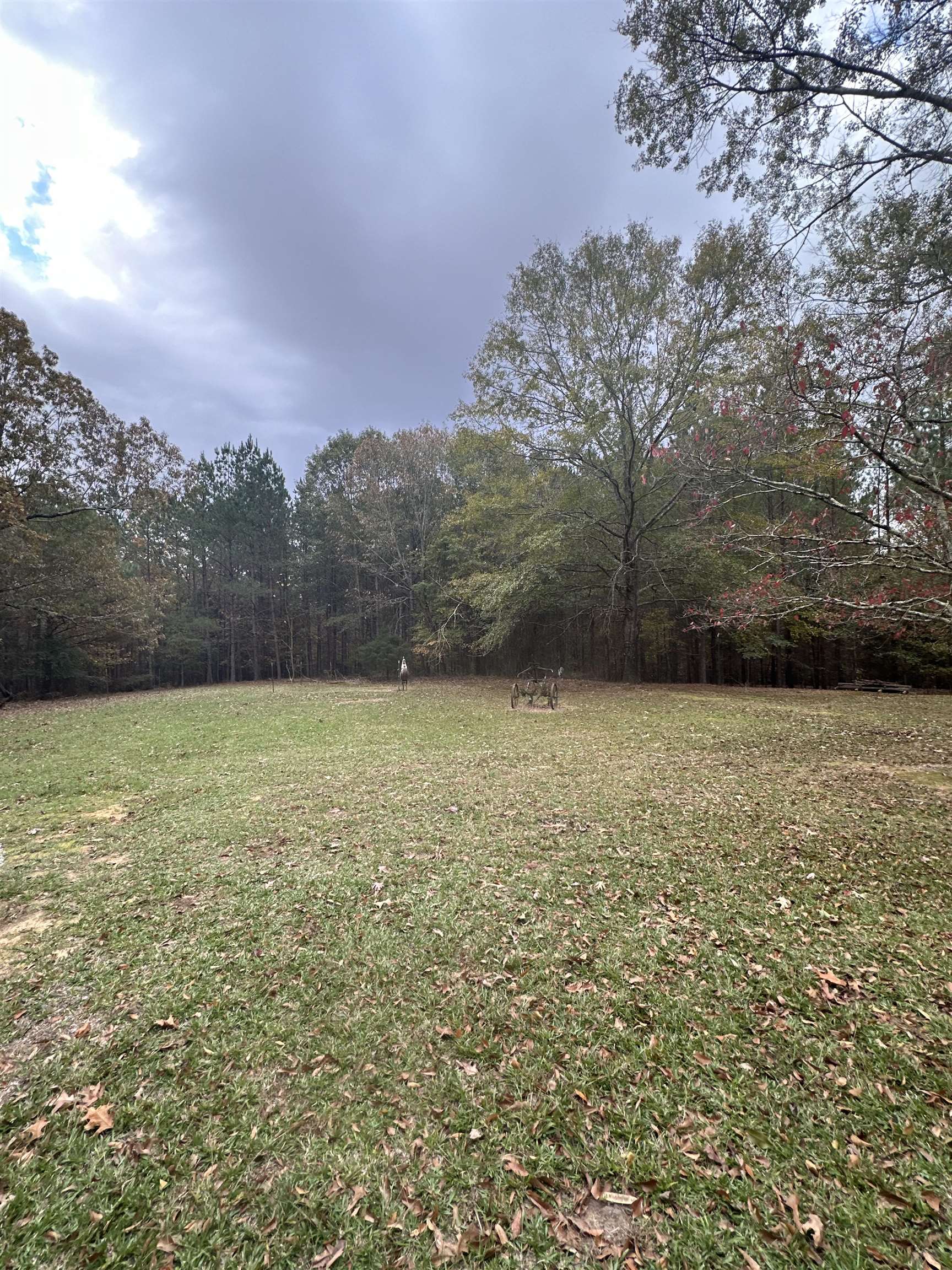 15882 Hwy 23