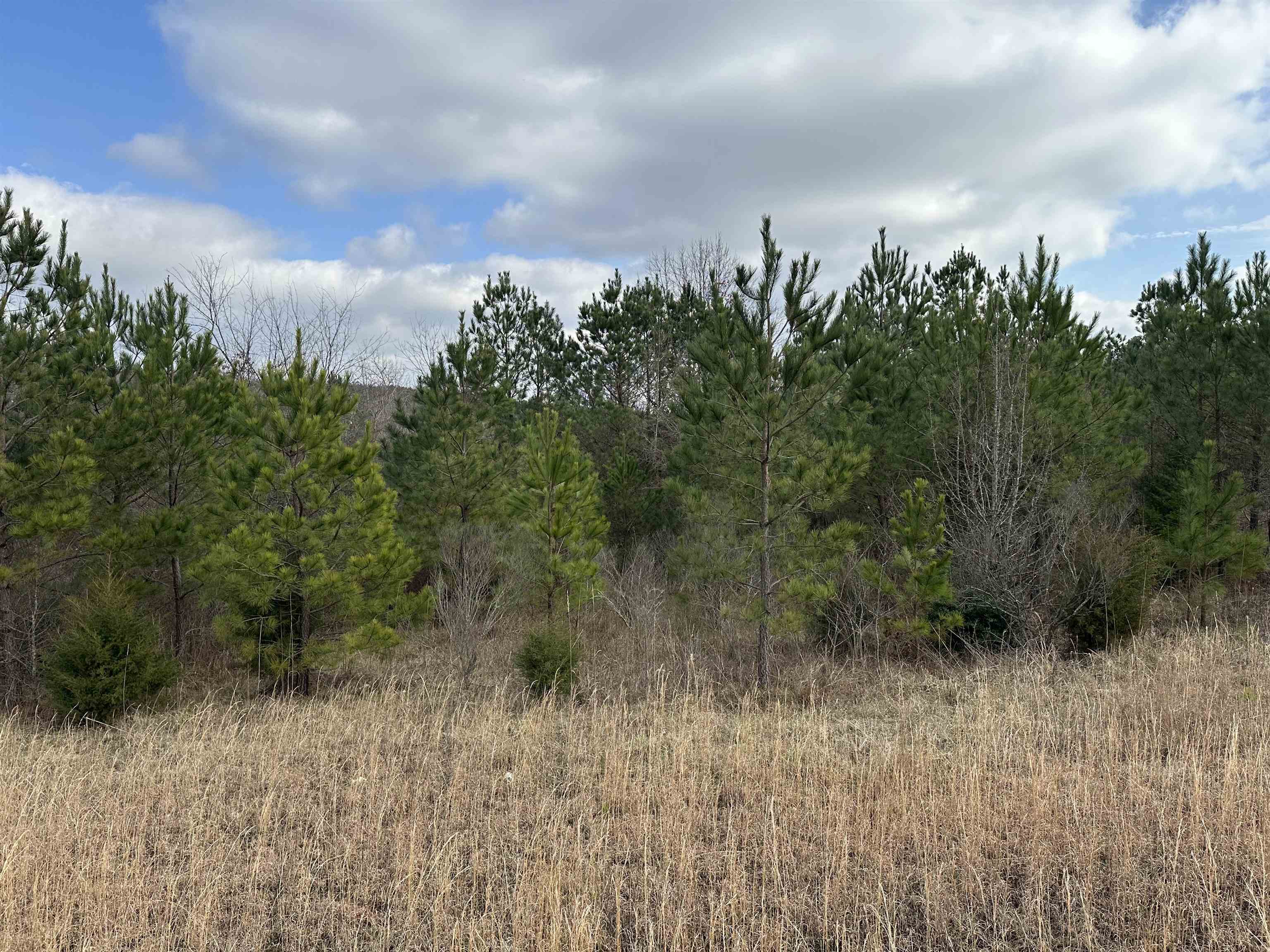 Good lot to build on.  The lot is located close to school and town.