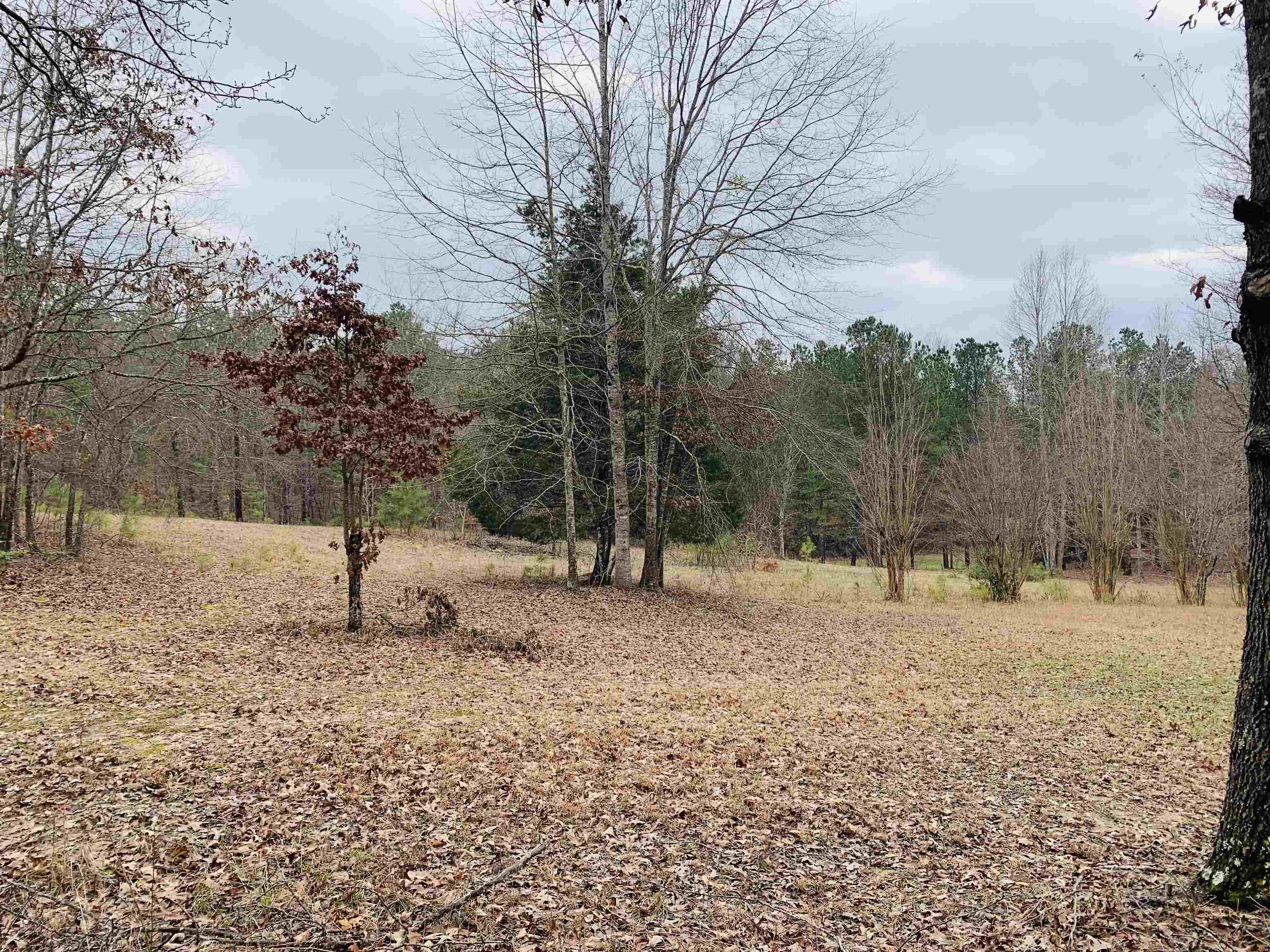 571 Co Hwy 139