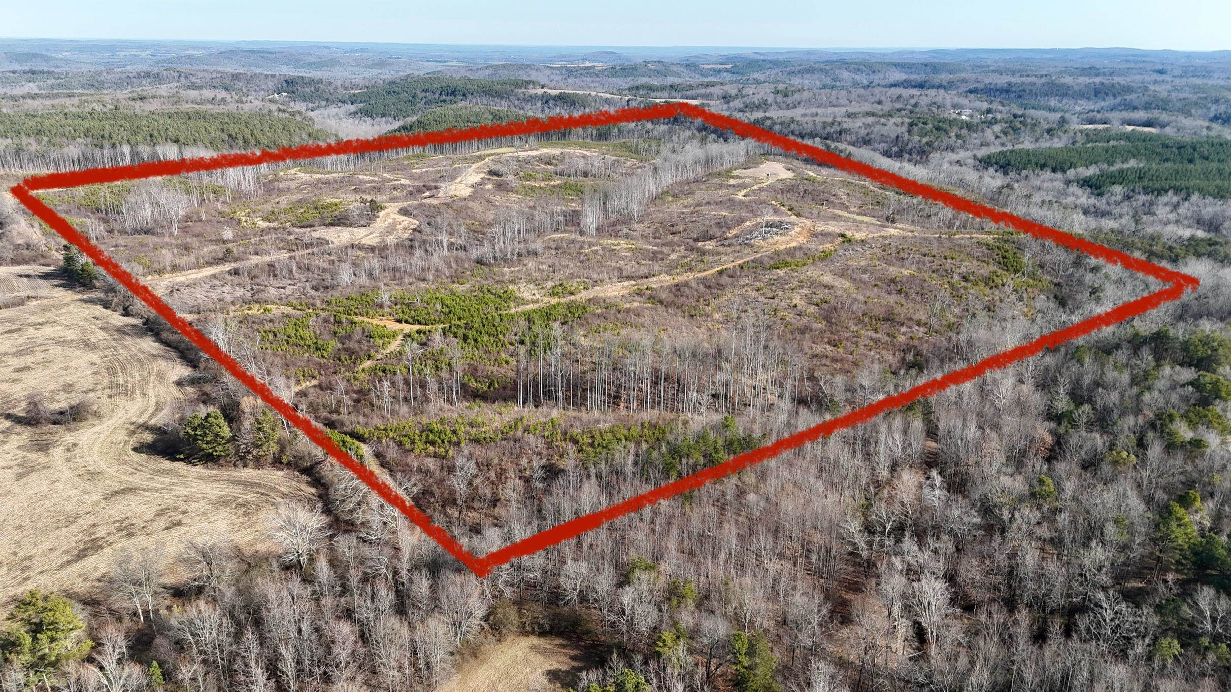 Are you looking for the perfect recreational property? This 160 acres has it all.  Turkey, deer and even a perfect build site for a cabin or your dream home.  See the sites from the top of Spruce Pine Mountain and enjoy the sun sets as you watch the wildlife cover the mountains.  Call today for your personal showing!