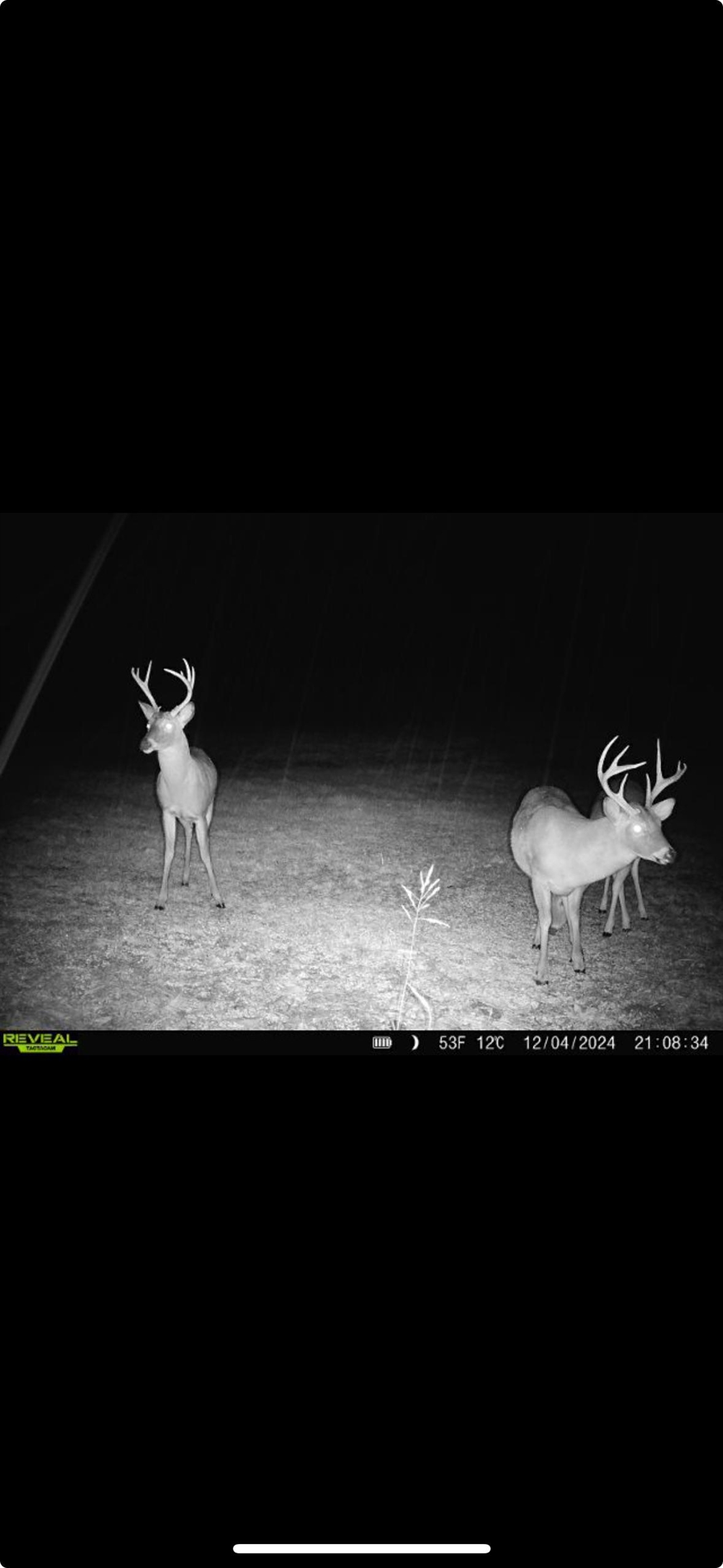 0 Hwy 63
