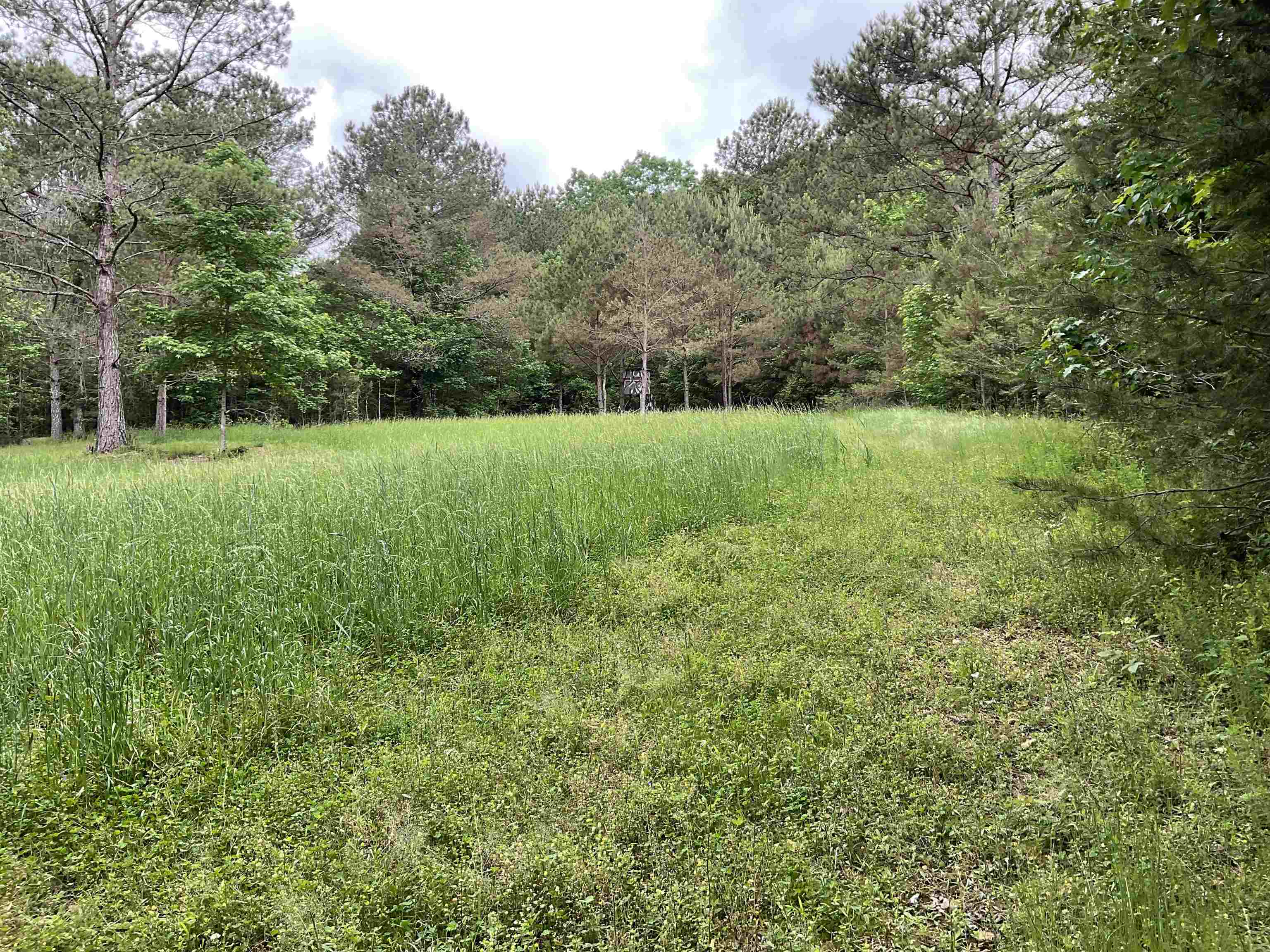 This 93 acres of pristing hunting land has endless possibilities with 70% hardwoods.  Perfect spot to build your home or cabin and enjoy nature.  There is an established road system with established green plots, 3 hunting houses, 2 ponds, one seasonal and one year-around, with partial fencing on the south side.  Electricity, city water, Fiber internet and cable are available.  Call today for more information!