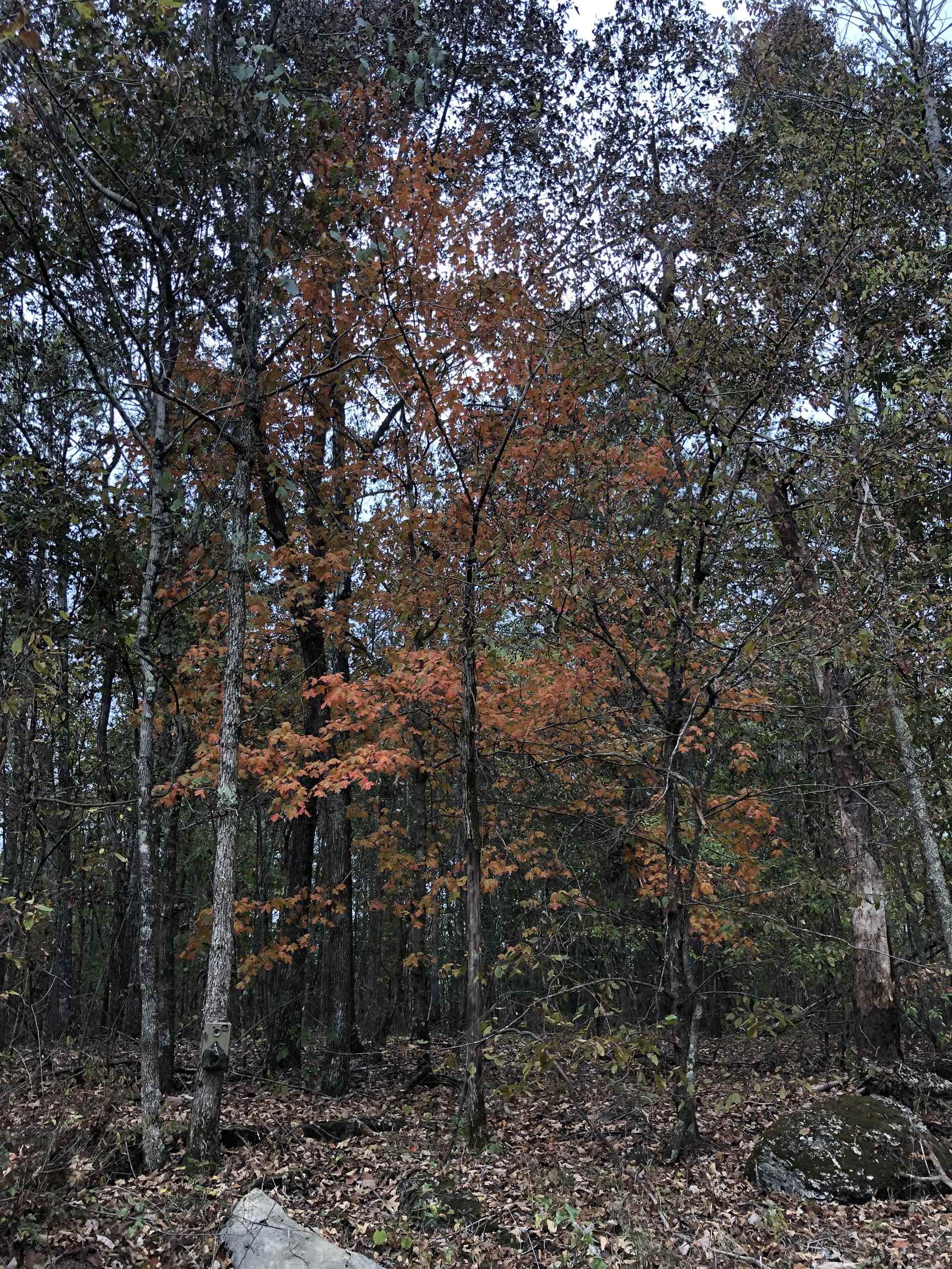 1200 Wagnon Mountain Rd