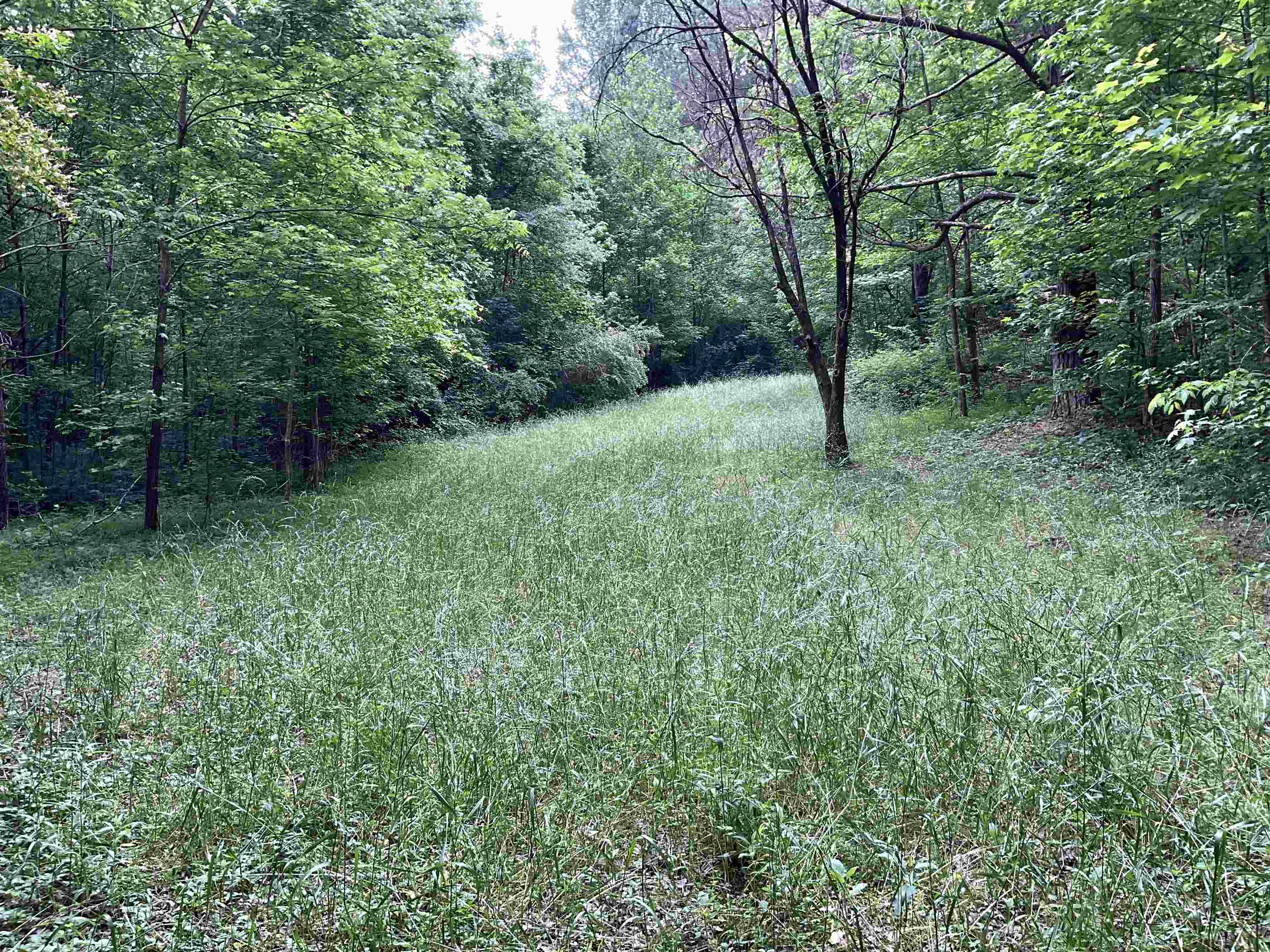 1200 Wagnon Mountain Rd