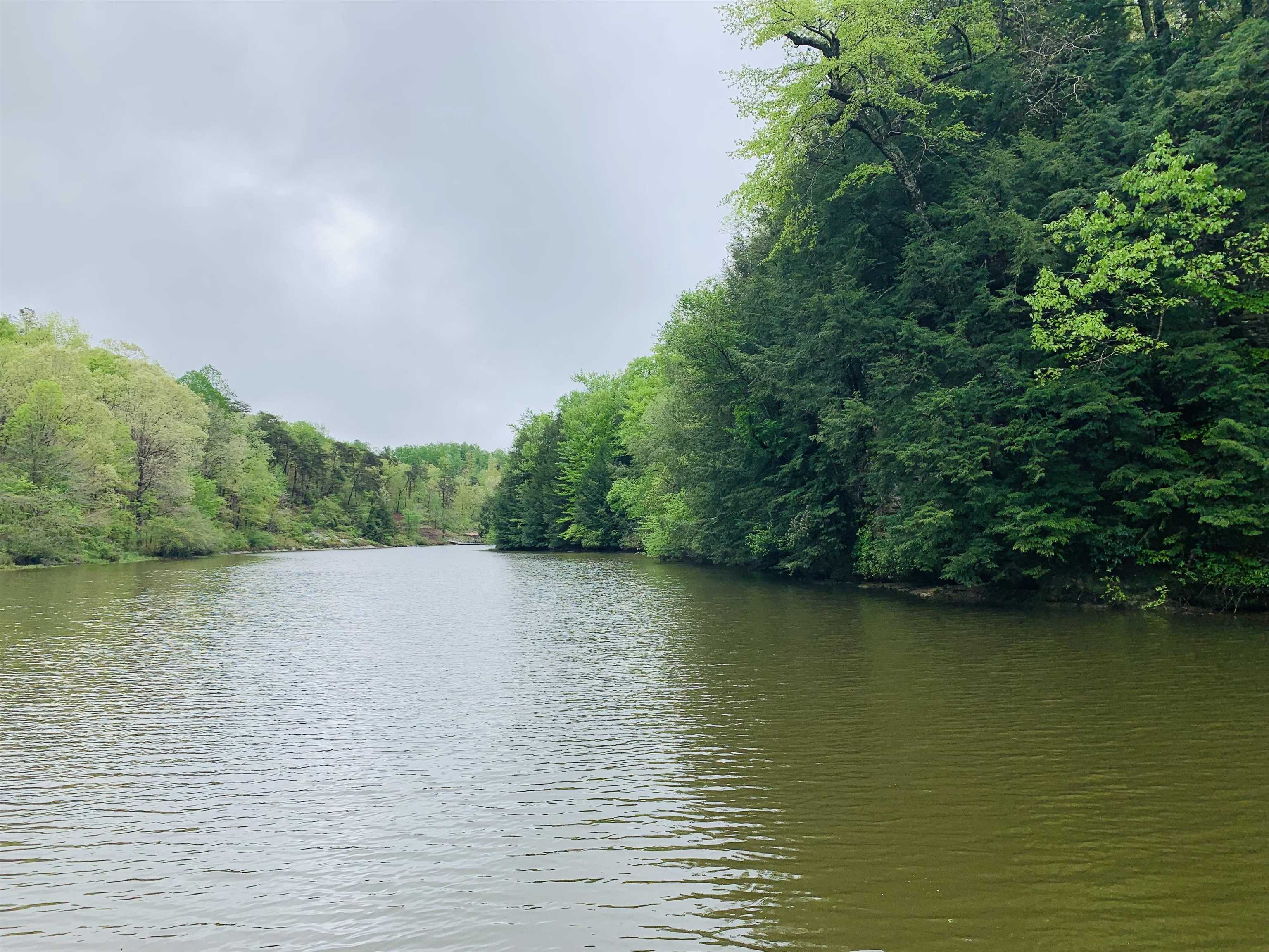 If you are looking for privacy on a lakefront property, this may be the one for you!  This 7 acres boasts approximately 1,350ft. of water frontage on cummings creek of Upper Bear lake in Phil Campbell.  The seller will have a new survey with 15 ft. wide easement to the property added.  The opportunities are endless!  Build your new home and enjoy the lake life.  No restrictions!  No dock permit with this property.
