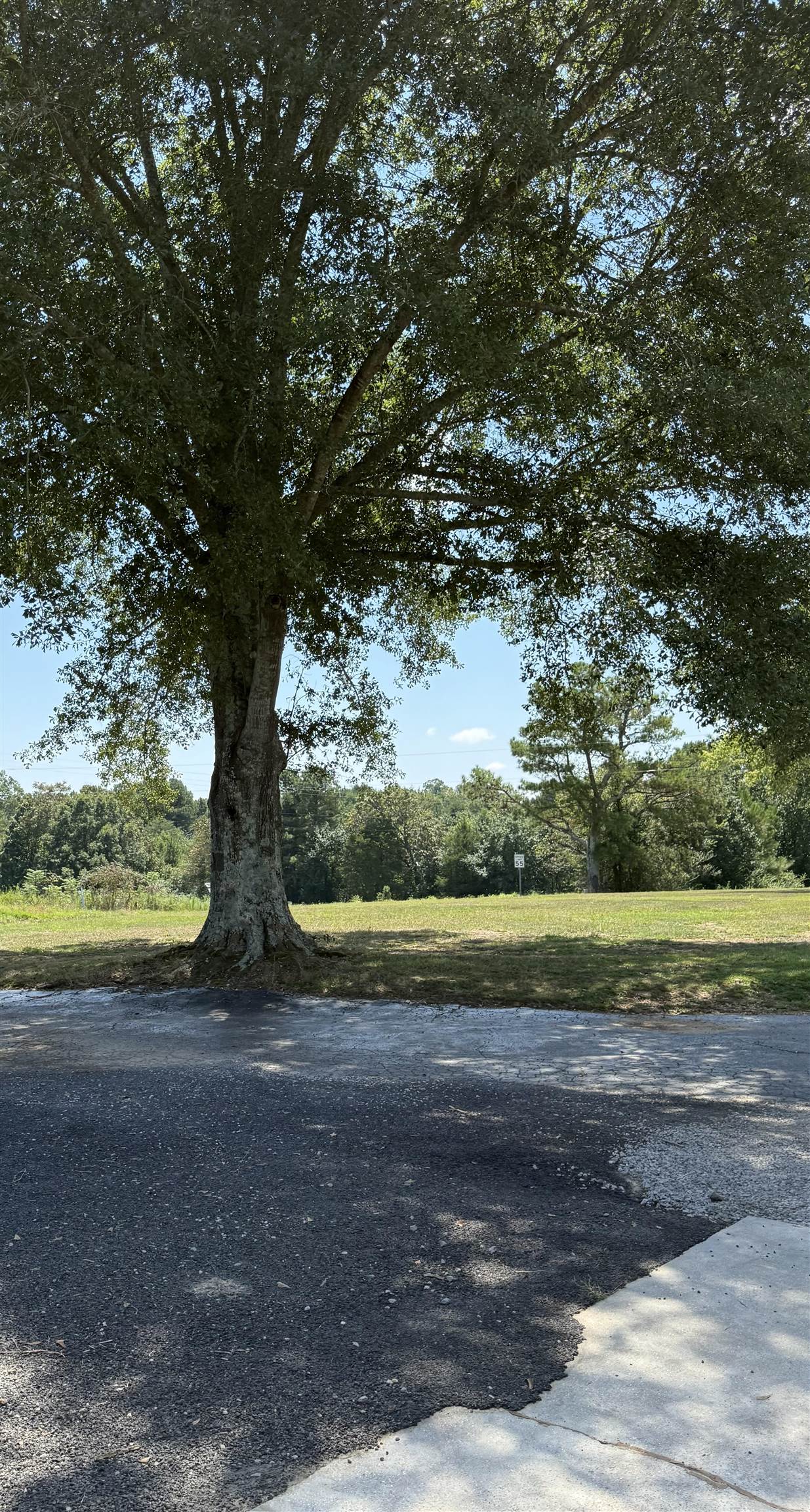 2065 Hwy 237