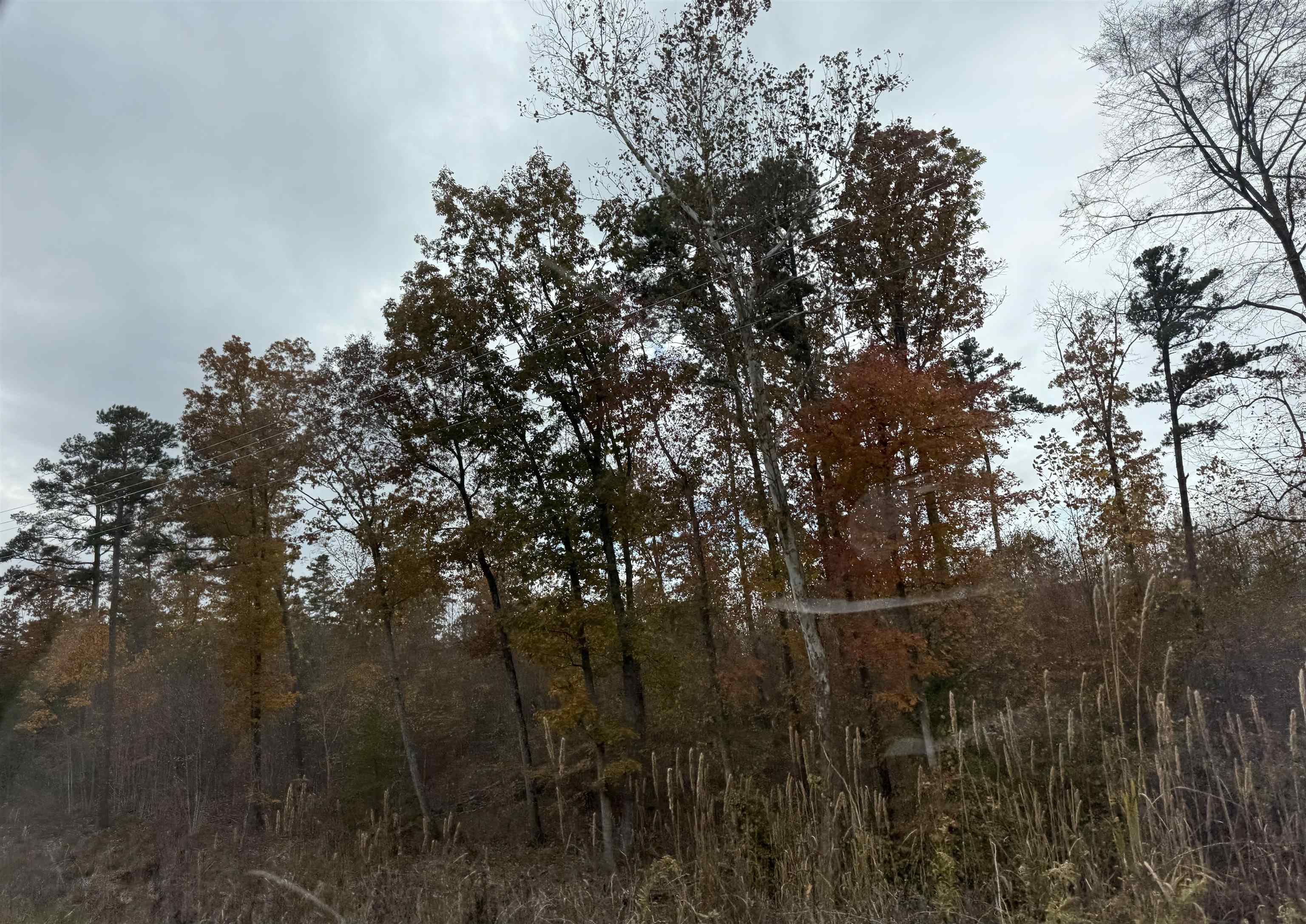 Three lots available.  Pending at print