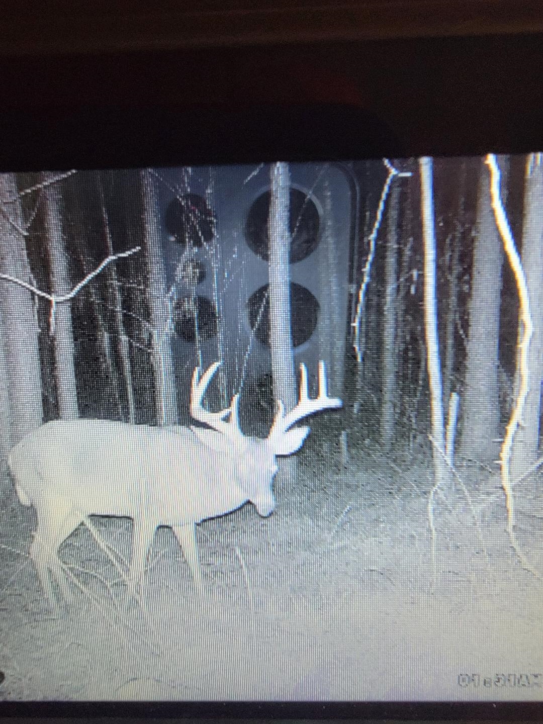 275 Pendley Creek Rd