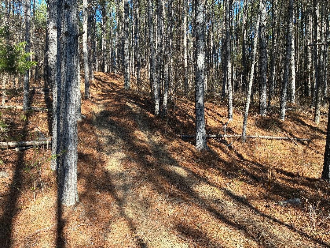 275 Pendley Creek Rd