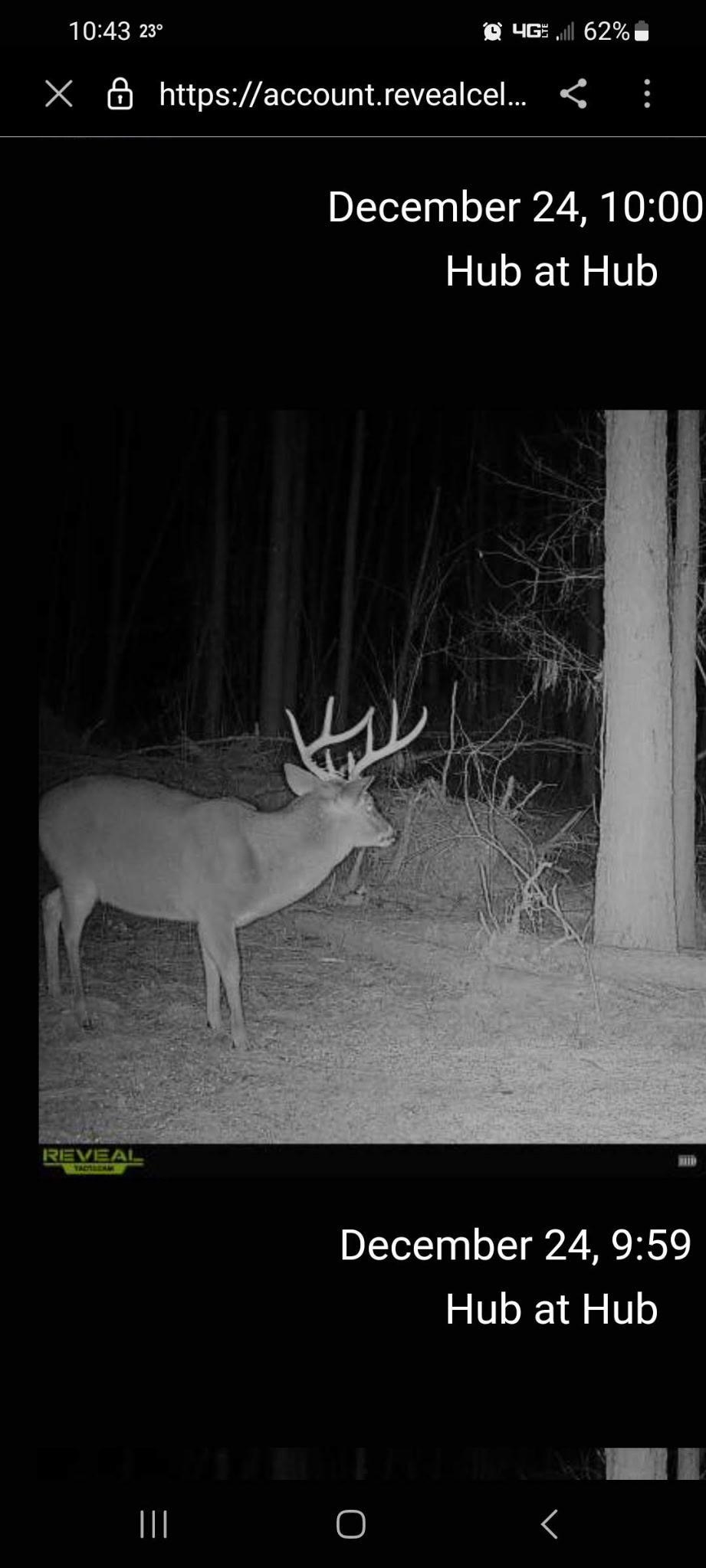 275 Pendley Creek Rd